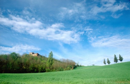 Montaldo Torinese - i campi del castello di Montaldo Montaldo Torinese - i campi del castello di Montaldo