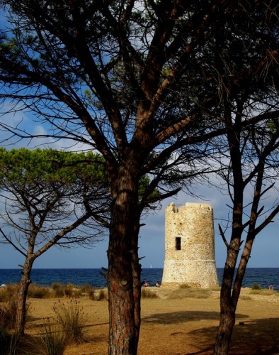 Siniscola - Una luce tra gli alberi Siniscola - Una luce tra gli alberi