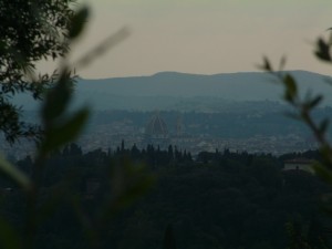 Firenze in cornice