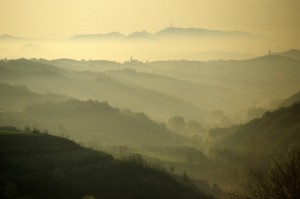 nebbie mattutine nella campagna di cocconato