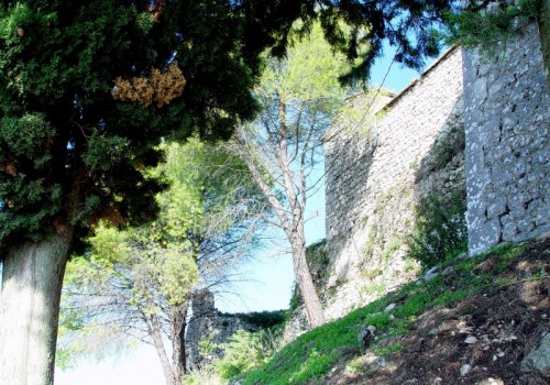 Rocca d'Arce - Un castello tra alberi e cimitero