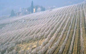 cascina neve e brina