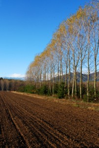 Pianura campi montagne