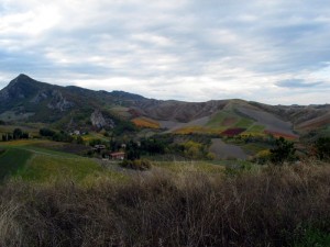 … e tu di che colore sei?