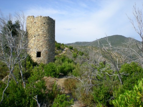 Sestri Levante - Sestri Levante - Torre Saracena di Punta Baffe Sestri Levante - Sestri Levante - Torre Saracena di Punta Baffe