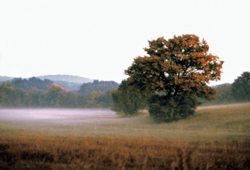 Sgonico - Carso, nebbia al tramonto Sgonico - Carso, nebbia al tramonto