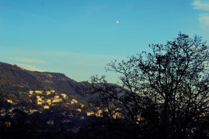 Agerola, l’albero e la luna