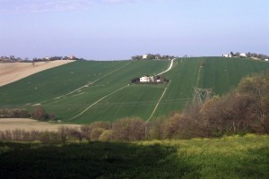 Paesaggio marchigiano