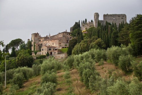 San Giovanni d'Asso - Castello con borgo