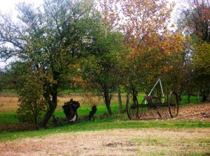 Pradipozzo rurale 2009