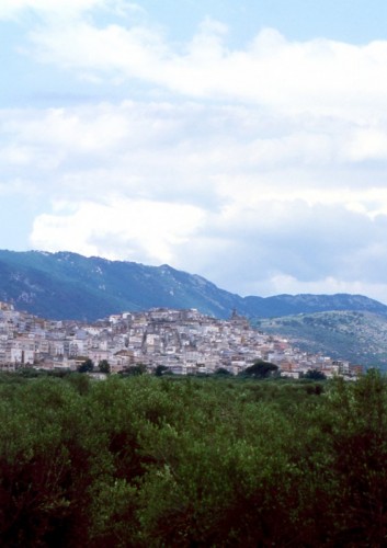 Carpino - Il paese di Carpino sul Gargano