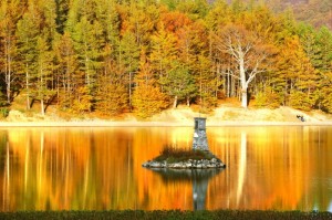 L’autunno si accende.