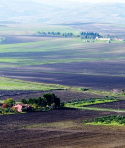 Campi d’autunno