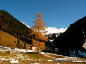 rifugio madonna delle nevi