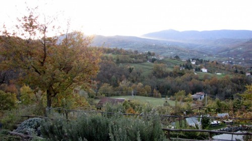 Albareto - Albareto Albareto - Albareto