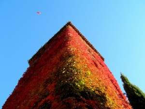..si stà come le foglie d’autunno sulla torre di Frontino!