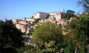 Todi