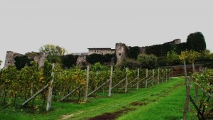 Castello di Pozzolengo