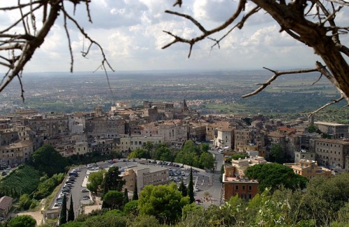 Tivoli - Cornice naturale di alberi secchi