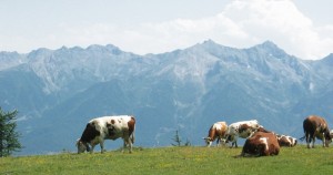 la riposa - la prima tappa verso il Rocciamelone