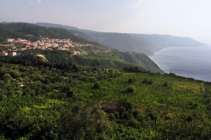 La frazione di Ceramida