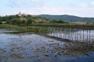 San Savino dall’Oasi naturalistica La Valle