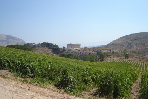 Calatafimi Segesta - Segesta Calatafimi Segesta - Segesta