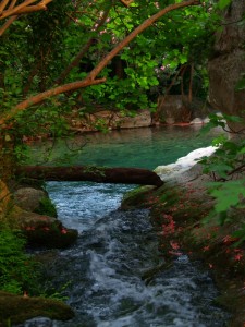 E’ PRIMAVERA : SI ACCENDONO I COLORI DELLA NATURA