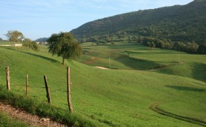 Lumini - Terra verde