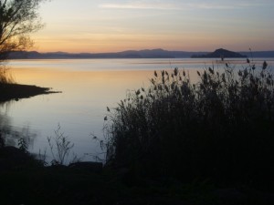 lago di Bolsena