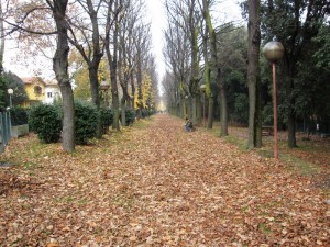GLI ANTICHI “PASSEGGI”, OGGI VIALI MAZZINI, A FANO
