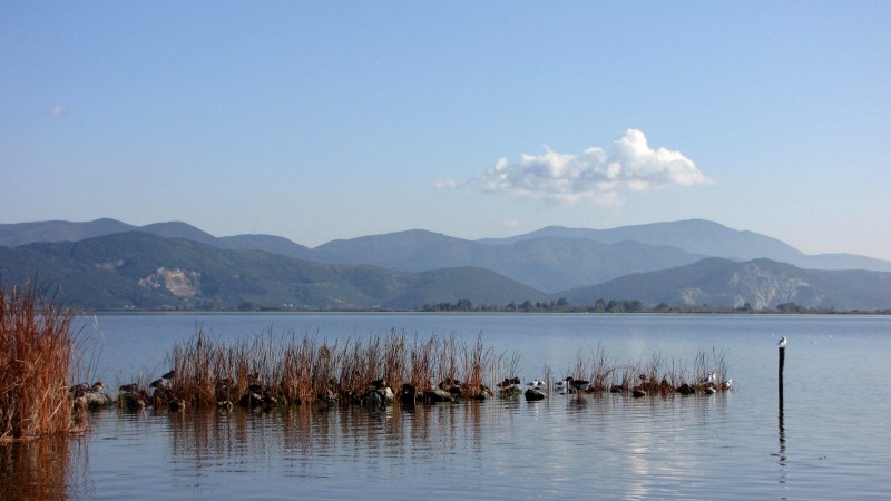 ''nuvola'' - Massarosa