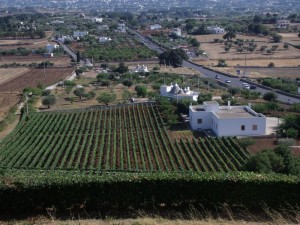 La valle d’Itria vista da Locorotondo
