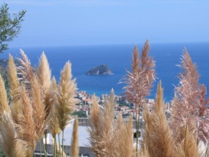 L’isola di bergeggi