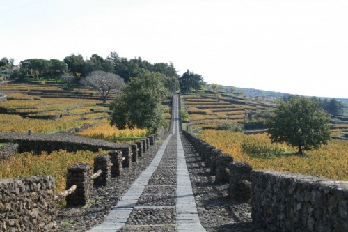 Adrano - al castello Adrano - al castello