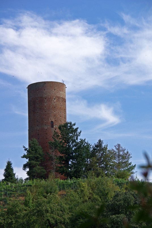 ''La torre'' - Montaldo Roero