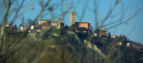 Santa Vittoria d'Alba - Tra i rami.... Santa Vittoria d'Alba - Tra i rami....