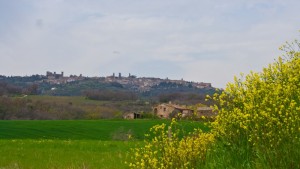 Panorama di Montalcino