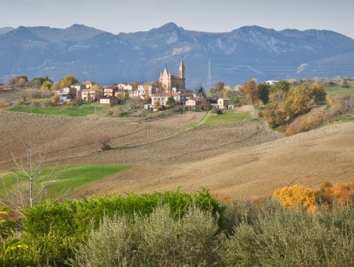 Monte San Martino - Diletti Monte San Martino - Diletti