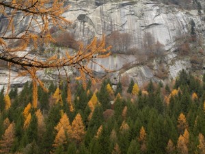 Parete di granito in val di Mello