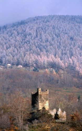 Montagna in Valtellina - Colori autunnali nei boschi attorno alla torre di Mancapane