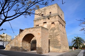 La splendida Torre Pelosa