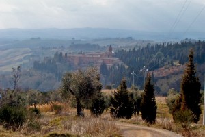 Monte Oliveto Maggiore