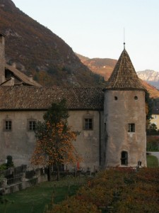 L’albero e il castello