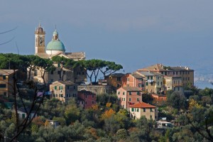 s.rocco di camogli