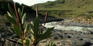 Era un tipo tranquillo.