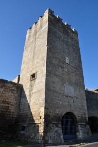 La Torre di Dante (Sec. XII)