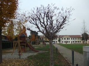 autunno a ca’ celsi