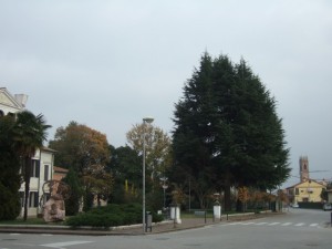 il centro di istrana