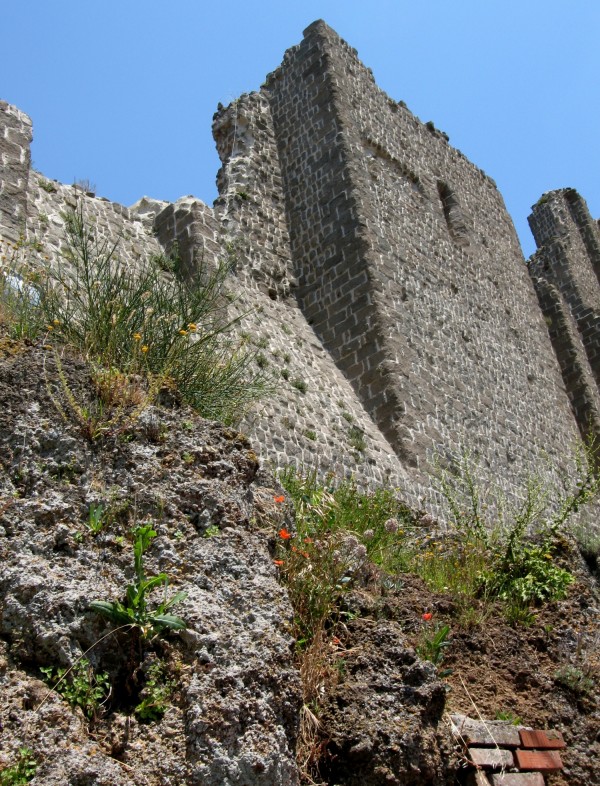 ''Rocca dei Papi 2'' - Montefiascone